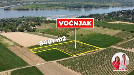 Vocnjak bresaka i nektarina na Fruskoj gori
