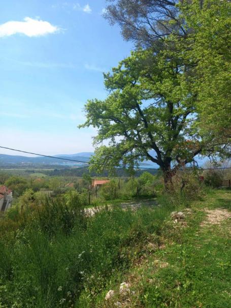 Idealna parcela u Kavaču: udobnost gradnje i pogled na more
