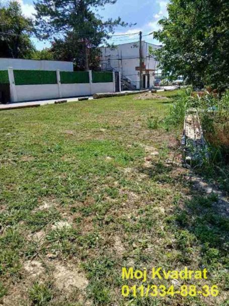 Palilula, Borča - Nova, 8 ari