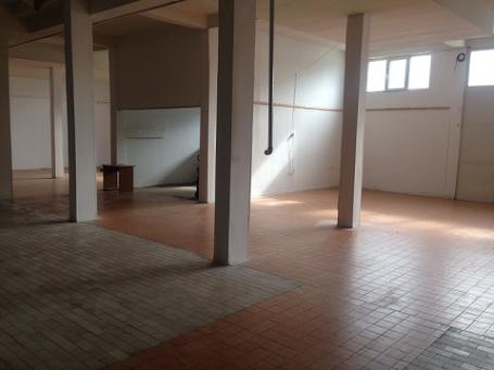 ZEMUN ALTINA 500m2 , 1750e