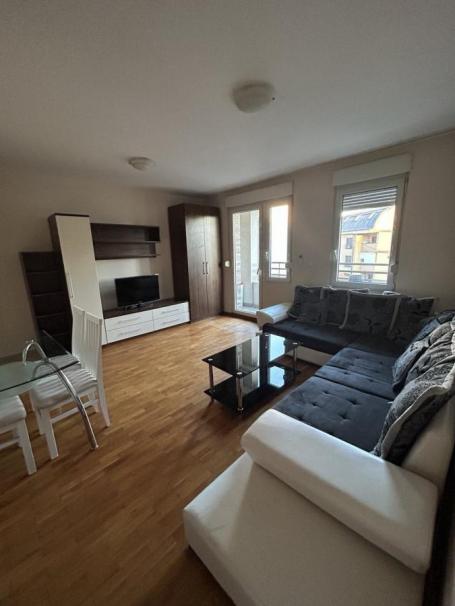 Lekino brdo, Varvarinska, dvosoban, 43m2, III sprat, Cg, namešten