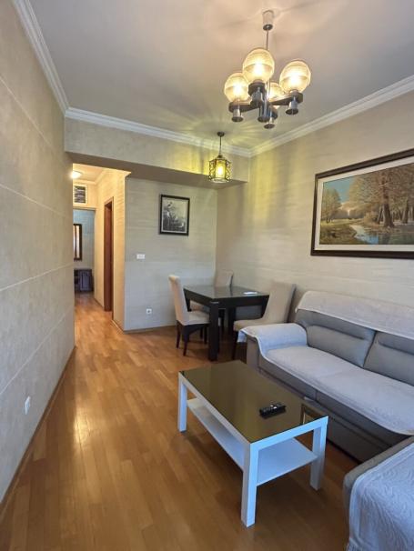 Jednosoban stan, 55m2, Centar - IZDAVANJE