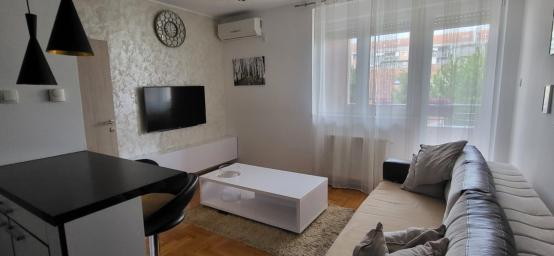 Bulevar Evrope Stan 37 kompletno namesten