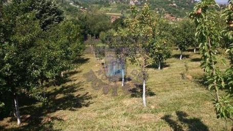 Plac u Sremskoj Kamenici -6590m2-