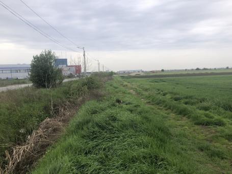 ZEMUN UGRINOVCI 11200m2 , 840000e