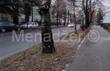 Zemun polje, 38m2 (garaža + ostava)