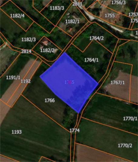 Barajevo, Veliki Borak ID#2309
