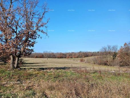 Bauland Baugrundstück 1100 m2 zu verkaufen, Marčana