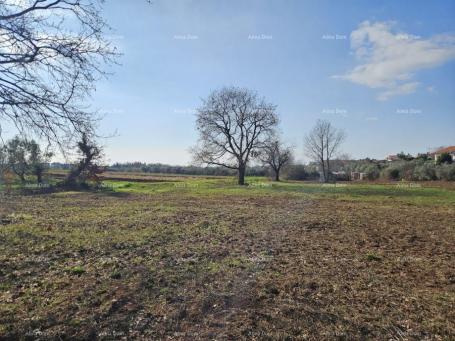 Building land Reserved!!! Sale of construction land with a sea view, Novigrad!