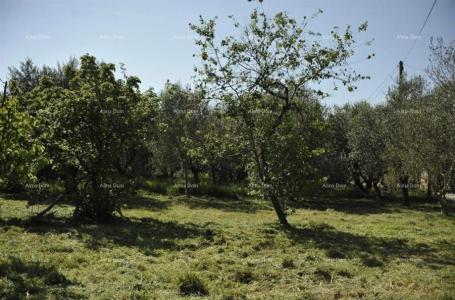 Građevinsko zemljište LOBORIKA - Građevinsko i poljoprivredno zemljište