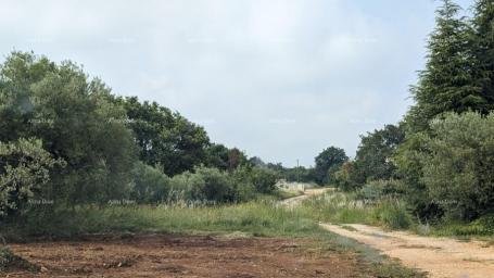 Građevinsko zemljište Građevinsko zemljište s pogledom na more – Poreč, 705 m²