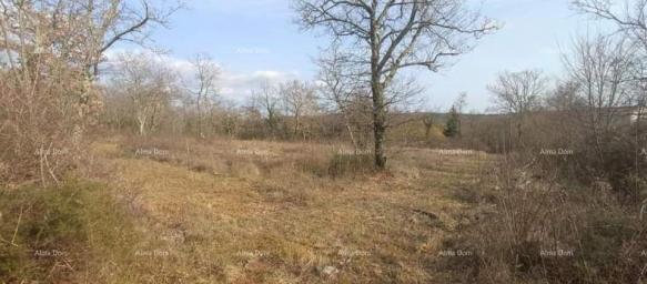 Građevinsko zemljište Prodaja građevinskog zemljišta u blizini Grožnjana. 