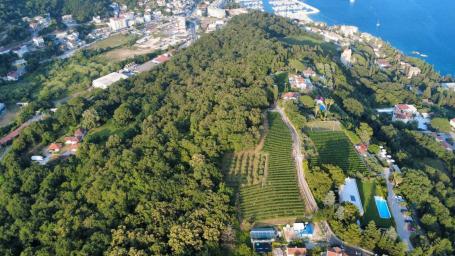 Prodaja zemljišta 3.728 m² – Savinska Dubrava, Herceg Novi