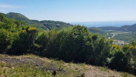 Na prodaju neurbanizovan plac 6.300 m² – Svinjišta, Budva