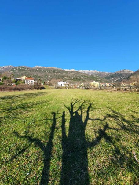 Urbanizovan plac  1861m2 na 50 metara od magistrale. Lastva Grbaljska