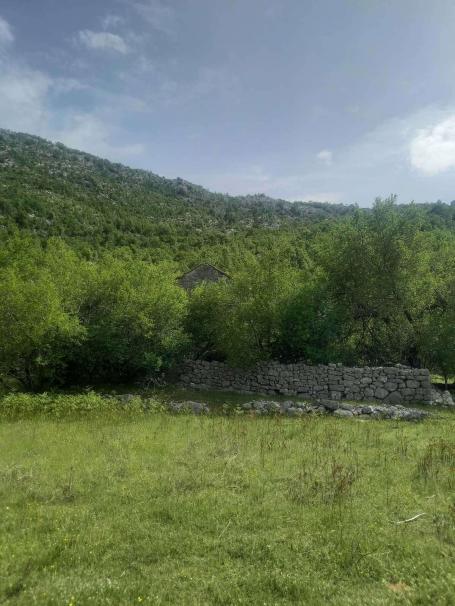 Neurbanizovano zemljiste površine 23.377m2 u mestu Dragalj, opština Kotor. 
