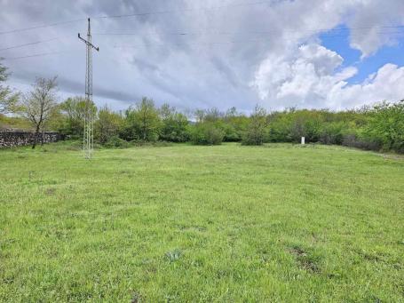 PRODAJA PLACA 2993m2 U NOVOM SELU (DANILOVGRAD)