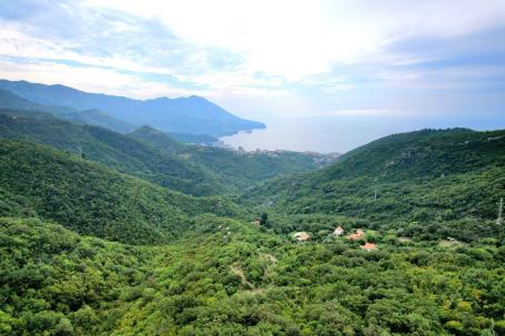 Zemljiste 20000m2 Markovici, Budva
