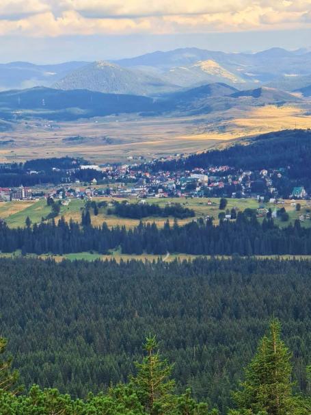 Bosače, Žabljak- Zemljiste 40,000m2 netaknute prirode sa panoramskim pogledom