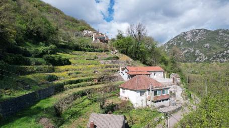 Dve kuce na placu od 2000m2 u Virpazaru, Bar