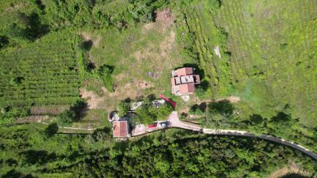 Radanovici, Kotor-Ekskluzivno imanje od 83.000 m² sa vinogradom, jezerom i izvorskom vodom