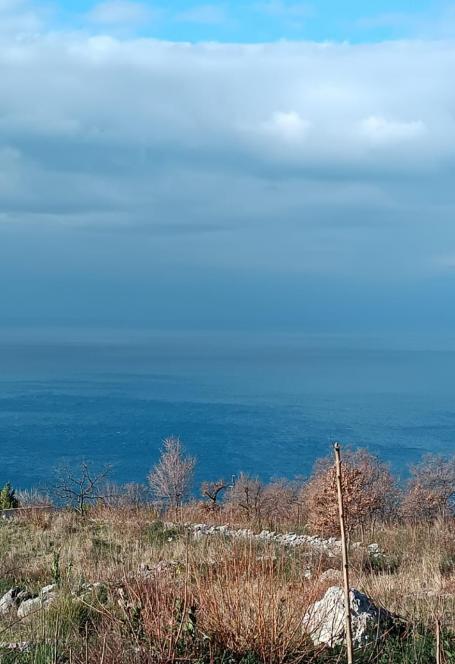 Neurbanizovano zemljiste za prodaju 740m² sa pogledom na more, Blizikuće, Budva