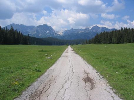 Zemljište 6.056 m² na Macanskoj poljani, Žabljak