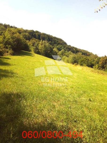Dva Placa - 120.87 ari na Rudniku, Kelja ID#3264