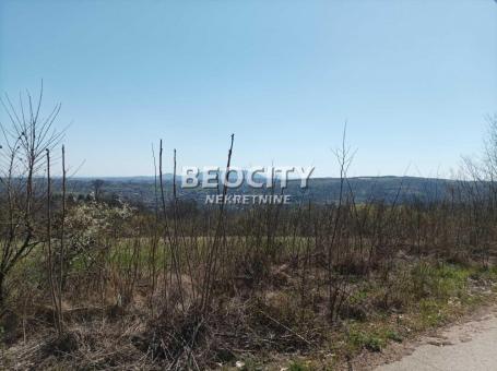 Sopot, Ralja, Koviona Trešnja, 57a, 76700EUR