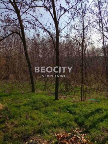 Grocka, Vrčin, Slavonska , 10a, 30000EUR Lipar 