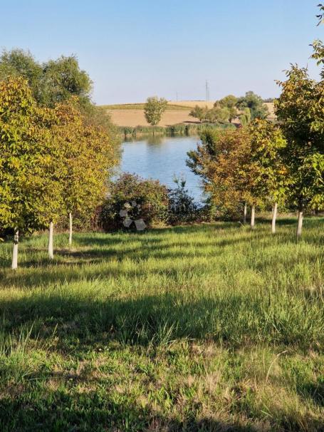 Agricultural land Đakovo, 40.557m2