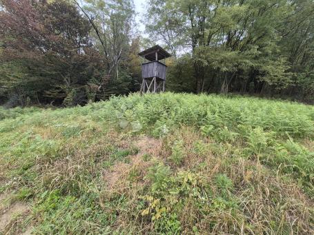 Agricultural land Mala Gora, Pregrada, 1.169m2