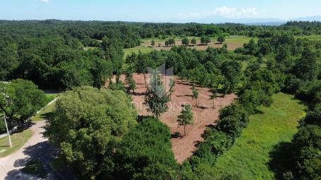 Barban, Umgebung, Baugrundstück in schöner Lage