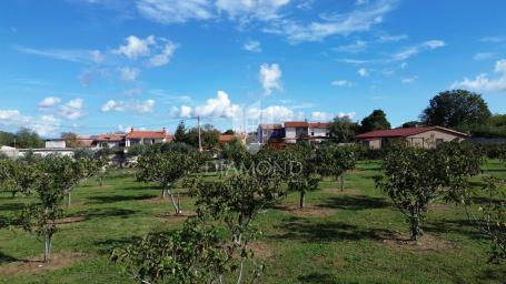 Marčana, okolica, građevinsko zemljište 