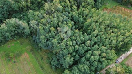 Land Labin, 5.083m2