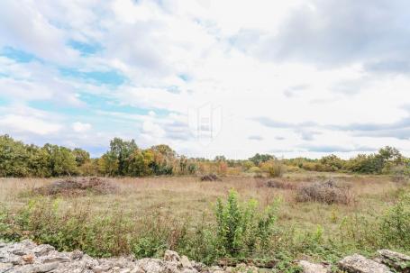 Marčana, okolica, super zemljište za nove projekte
