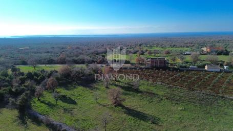 Vodnjan, Baugrundstück mit Meerblick