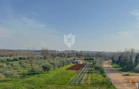 Umag novogradnja, prizemlje sa 3 spavaće sobe