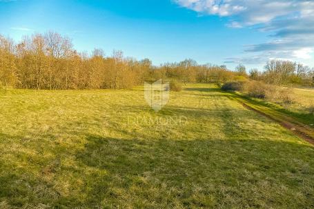 Svetvinčenat, Umgebung, Grundstück für zusätzliche Luxusvilla