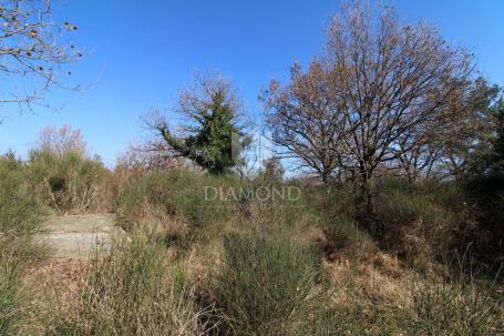 Vodnjan, spacious building land