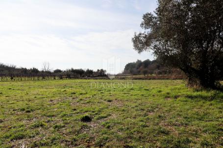 Poreč, Umgebung – Baugrundstück in ruhiger Lage