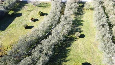 Poreč - okolica - prekrasno građevinsko zemljište sa projektom i pogledom na more