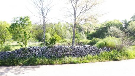 Poreč - okolica - građevisnko zemljište na prekrasnoj lokaciji