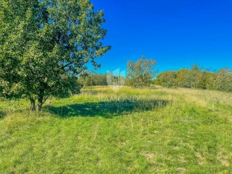Grožnjan, Grundstück von 2898 m² für den Bau mehrerer Häuser!