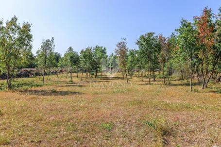 Svetvinčenat, okolica, zemljište na mirnoj lokaciji
