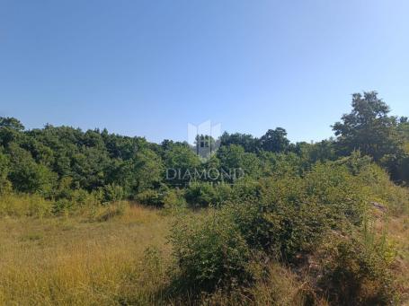 Svetvinčenat, teren s priključcima struje i vode!