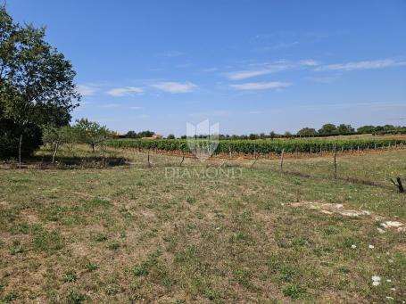 Poreč-Gebiet, Bauland am Rande der Zone