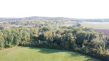 Istrien, Poreč – Landwirtschaftsgrundstück 14.882 m²