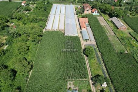 Jezerska, Ovča, Palilula ID#6026