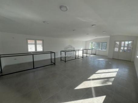 Lokal Batajnica Centar, Zemun ID#7961
